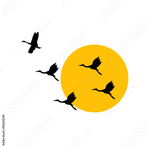 silhouette of a birds flying