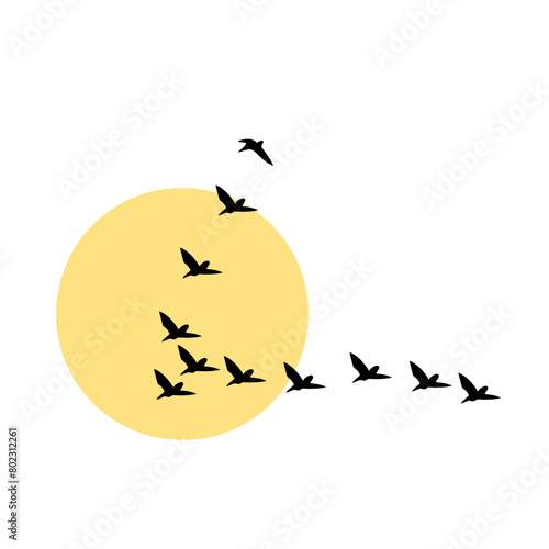 silhouette of a birds flying