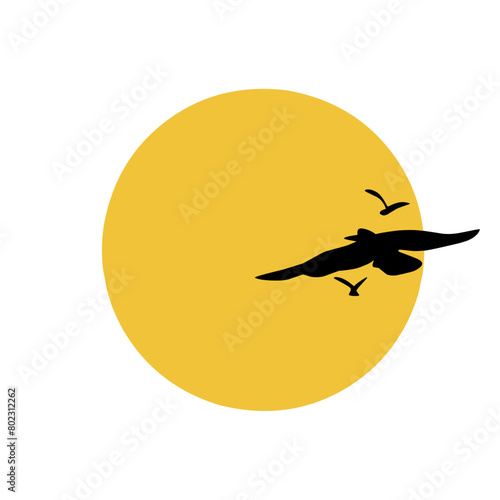 silhouette of a birds flying