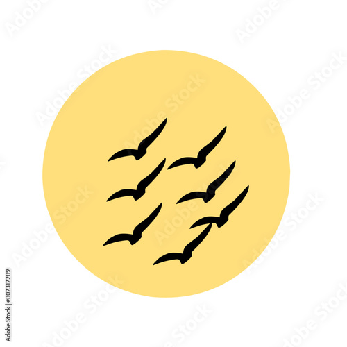 silhouette of a birds flying