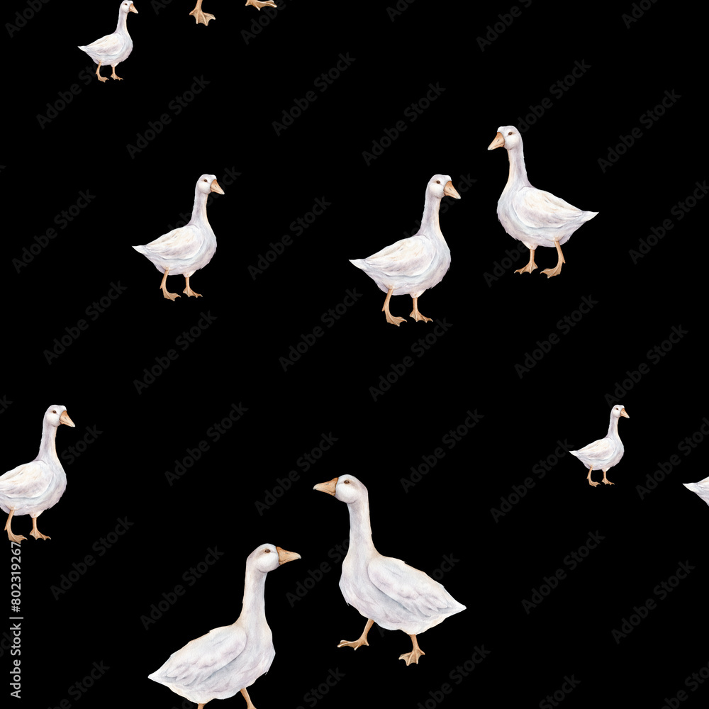 Fototapeta premium Watercolor seamless pattern with goose farm bird. Tender watercolor illustration on a isolated on background. Domestic white and gray watercolor cute farm bird. Hand drawn illustration farm birds.