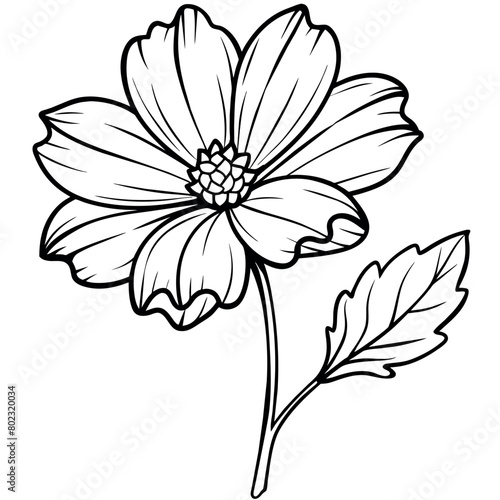Cosmos flower plant outline illustration coloring book page design  Cosmos flower plant black and white line art drawing coloring book pages for children and adults