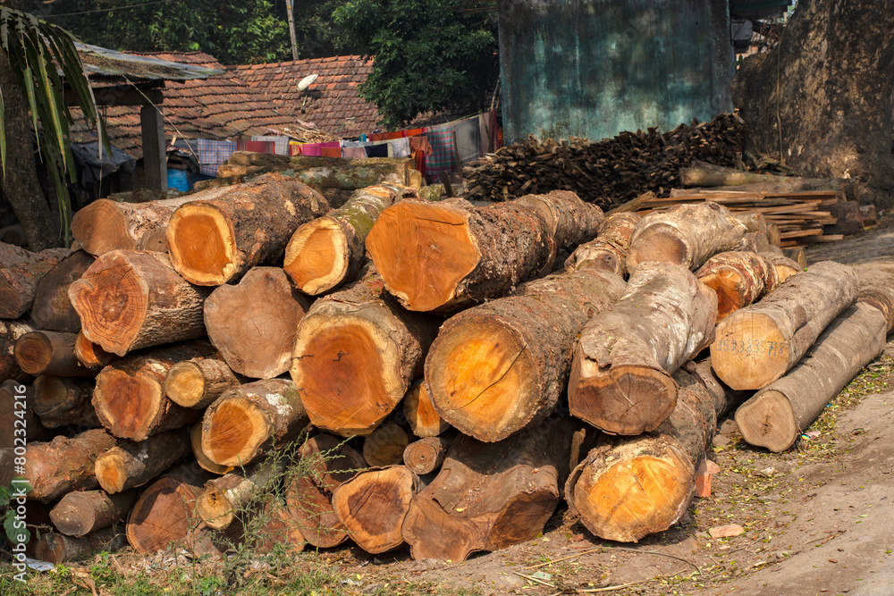 Log trunks pile, the logging timber wood industry.