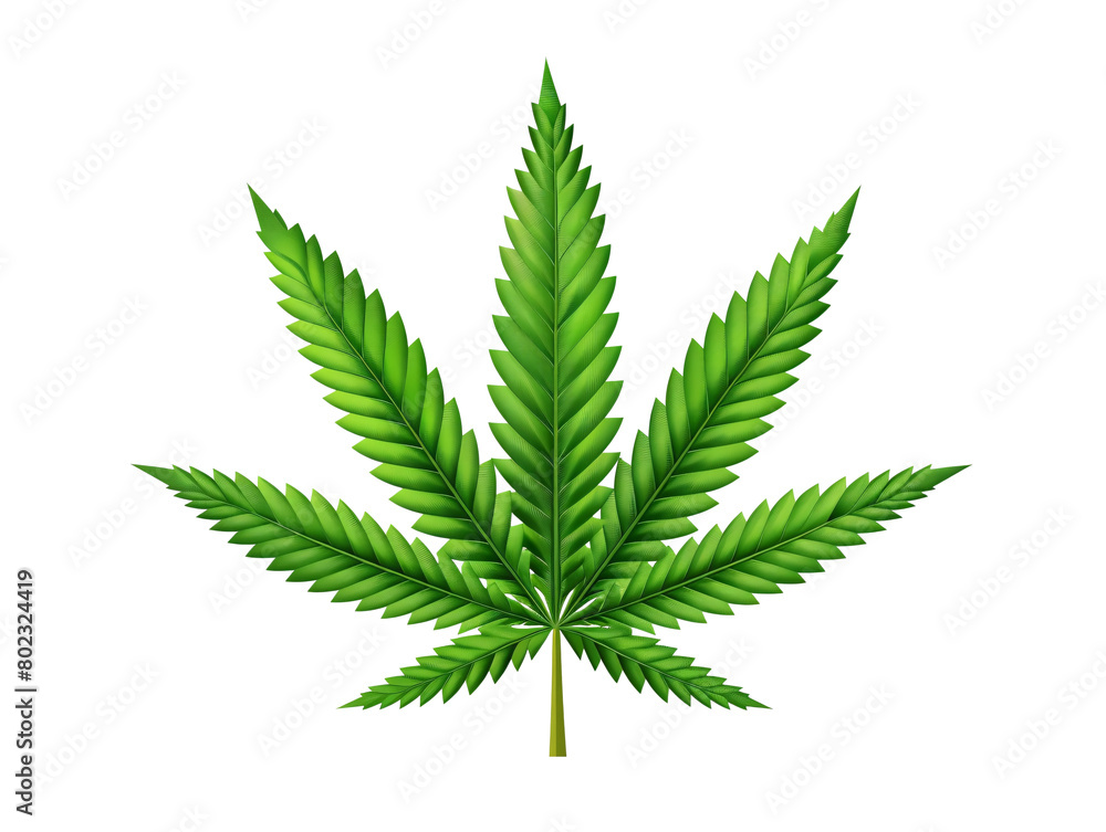 a green leaf with many leaves a green leaf with many leaves