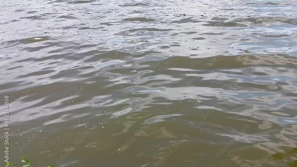 Natural background of waves or water ripple at the lake. Calm environment Natural background of waves or water ripple at the lake. Calm environment