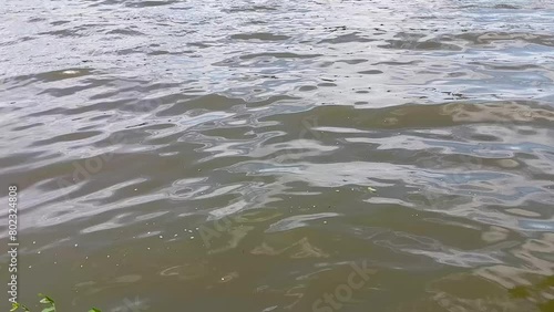 Natural background of waves or water ripple at the lake. Calm environment