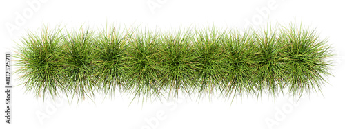 Top view farming grassy row realistic on transparent backgrounds 3d render png