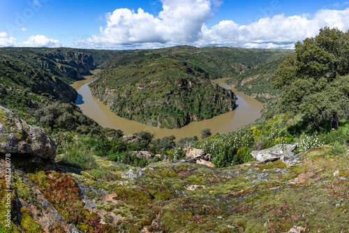 Meander of the duero river in the natural park of arribes del duero, Pinilla de Fermoselle, Zamora, Spain. photo
