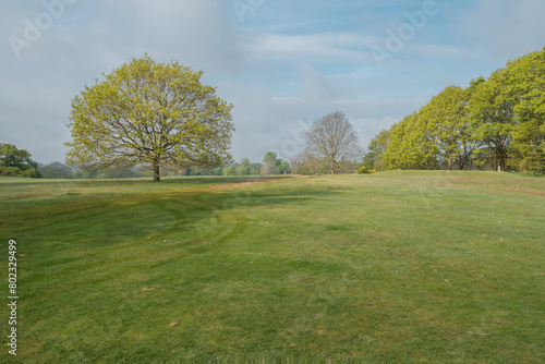 Morning walk over Cowdray golf coarse, Midhurst, West Sussex, England, UK.