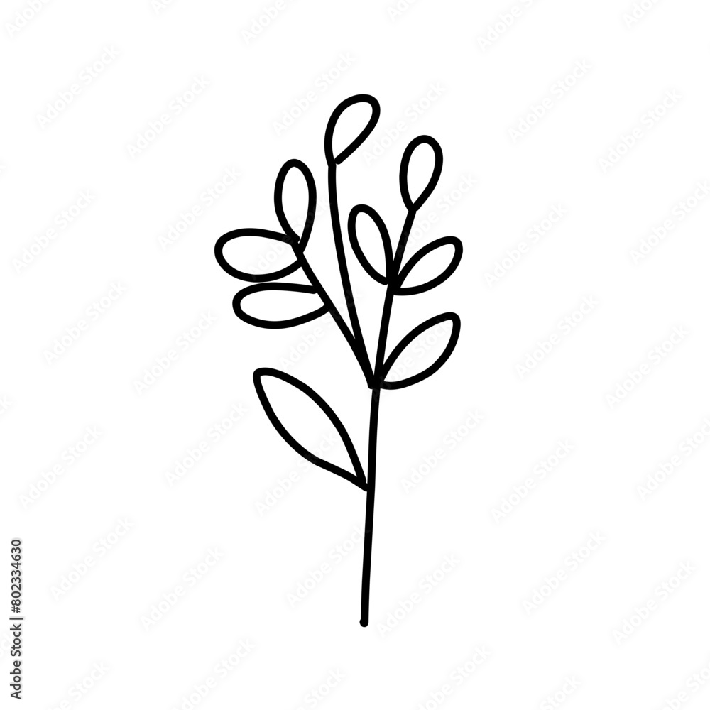 Plant drawing in linear style Plant drawing in linear style
