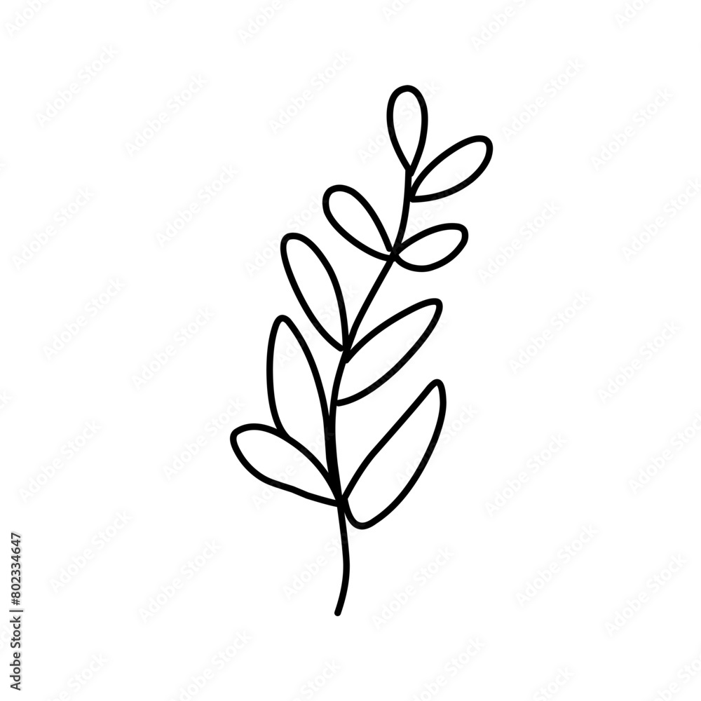 Plant drawing in linear style Plant drawing in linear style