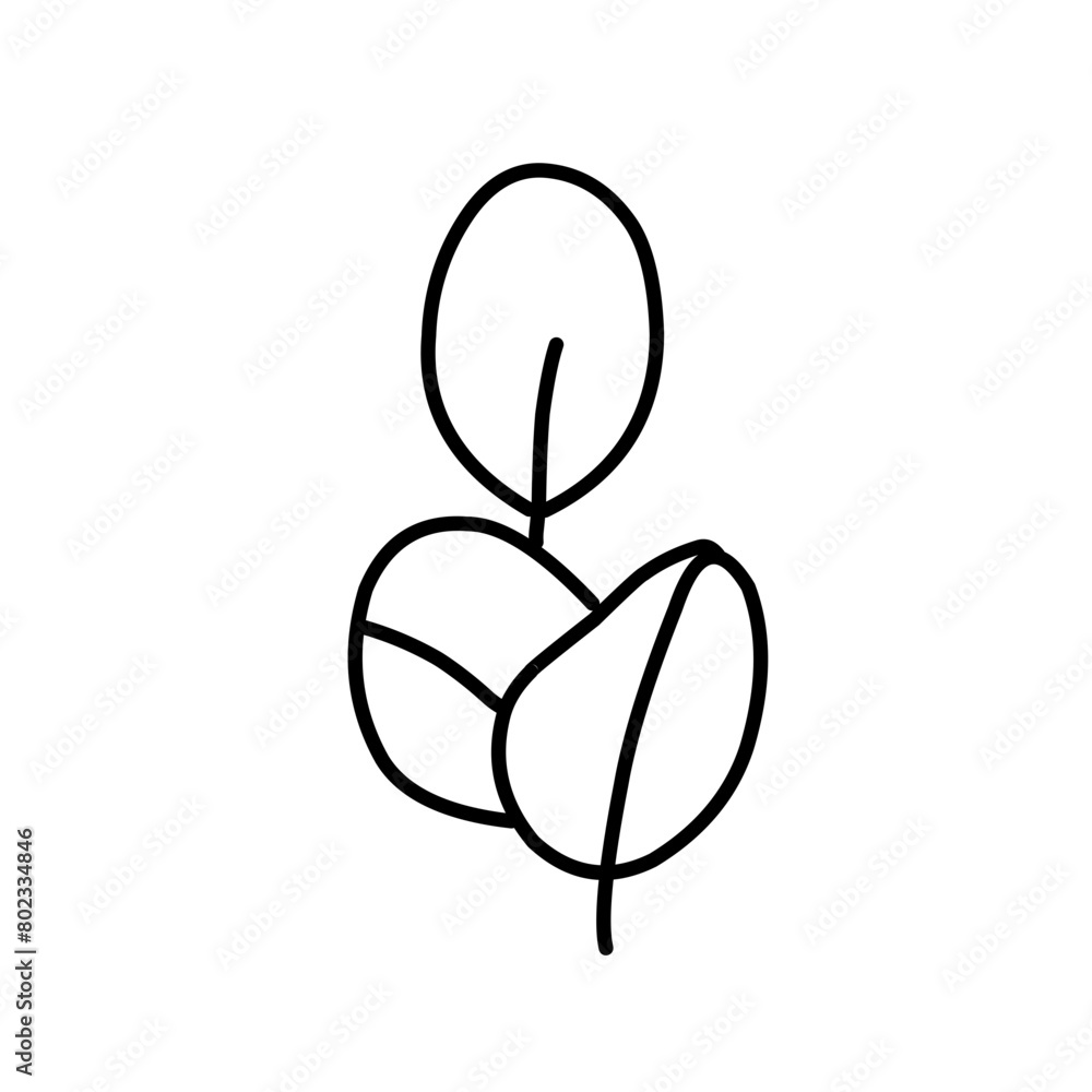 Plant drawing in linear style Plant drawing in linear style