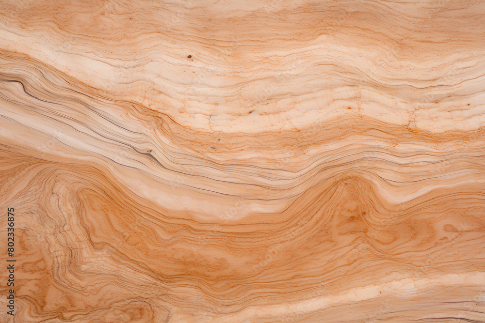 Fototapeta premium texture of wood background