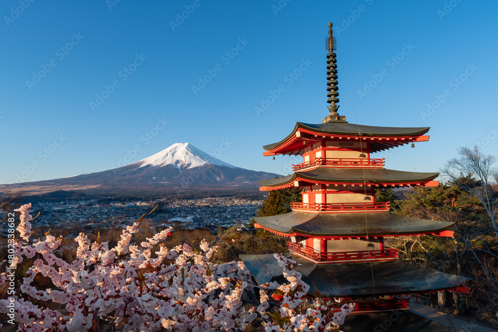 Sunrise photo of Chureito Pagoda with Mt. Fuji in the background, in Lake Kawaguchico, Japan. Clear blue sky, snow on Mt. Fuji. Golden morning light.