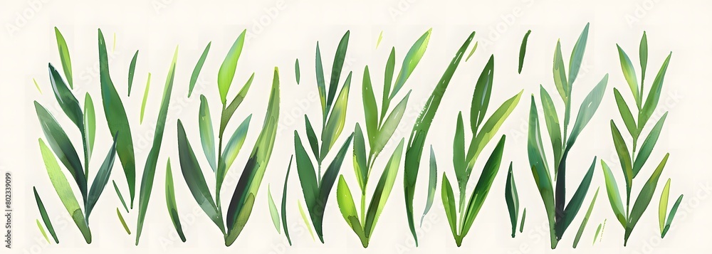 watercolor, grass clipart, vector style, white background