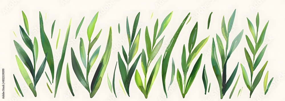 Obraz premium watercolor, grass clipart, vector style, white background