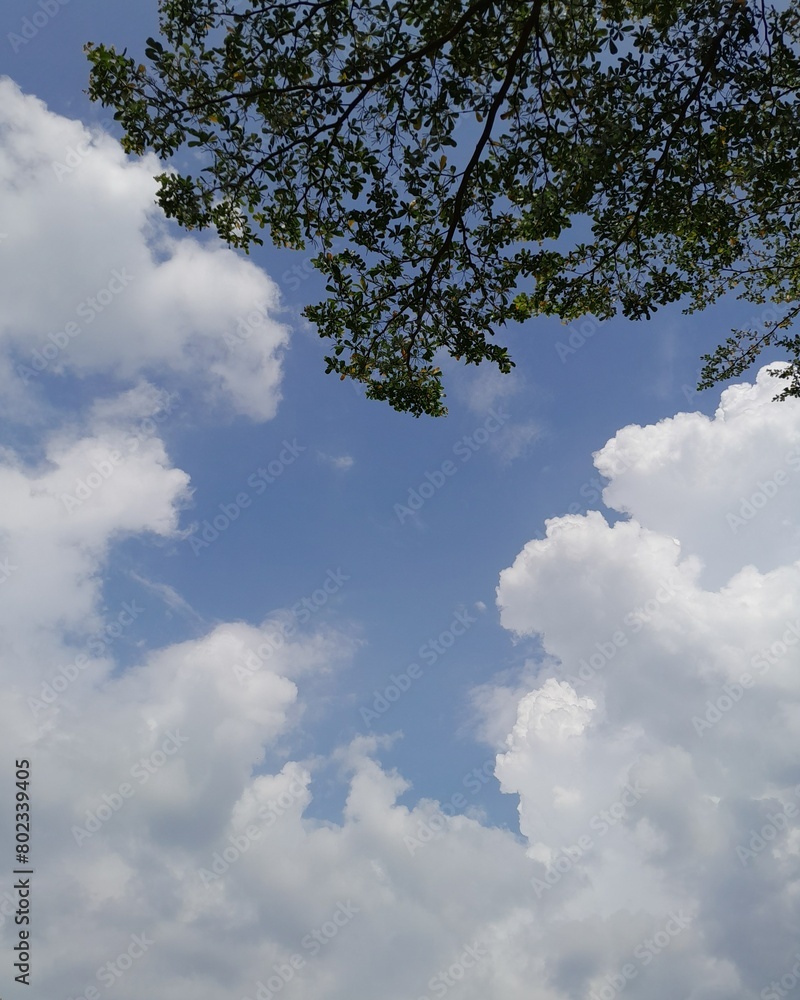 Obraz premium sky and clouds