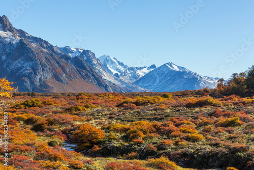 Autumn in Patagonia photo