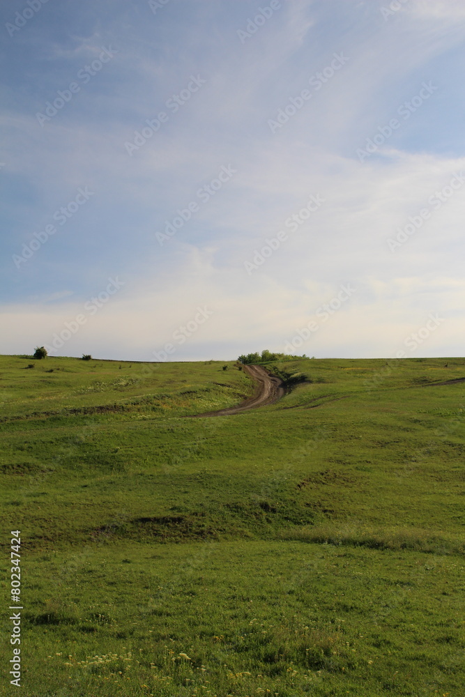 Fototapeta premium A field with grass and dirt