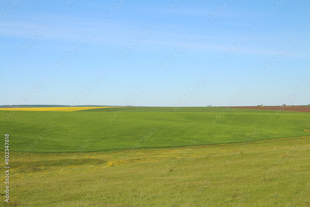 A large green field A large green field