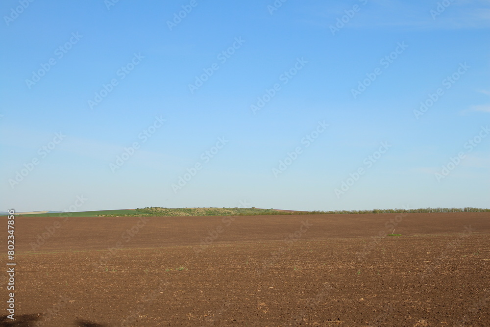 A field with a blue sky A field with a blue sky