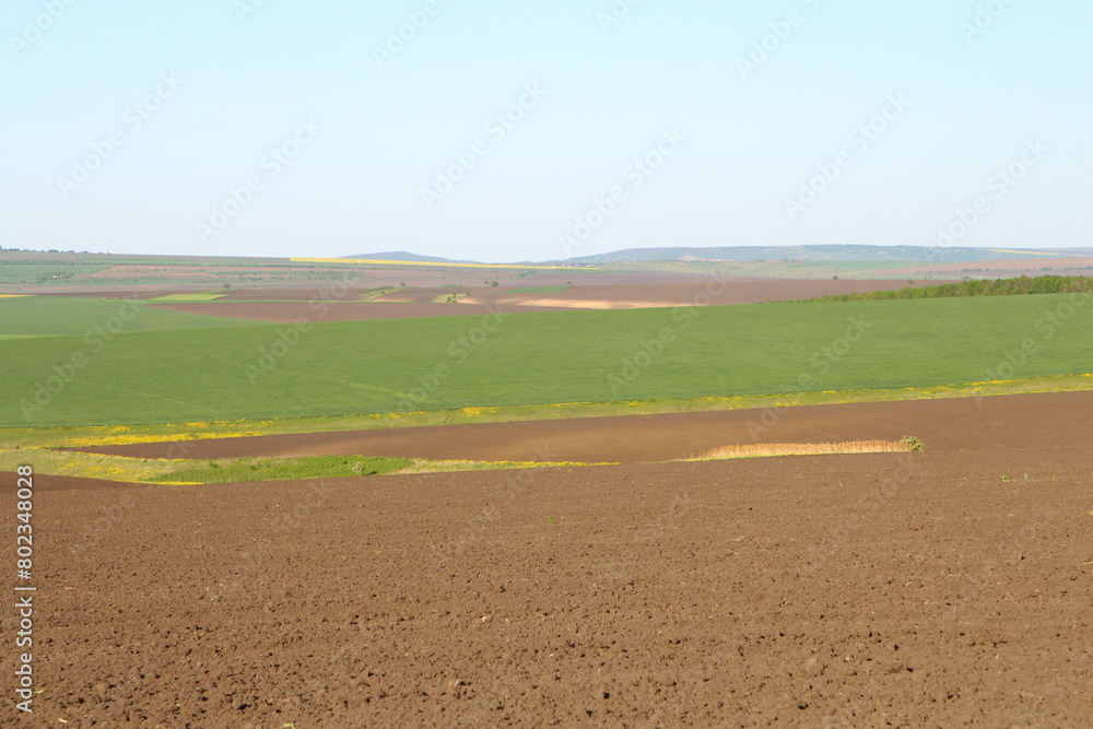 A dirt road with grass and blue sky A dirt road with grass and blue sky