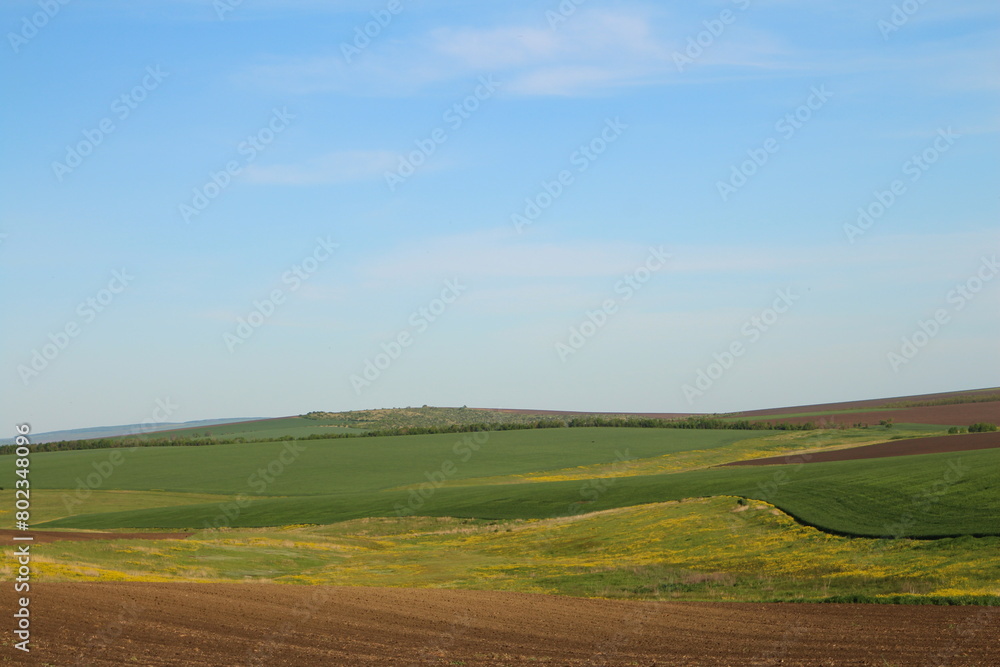 Obraz premium A green field with a few clouds