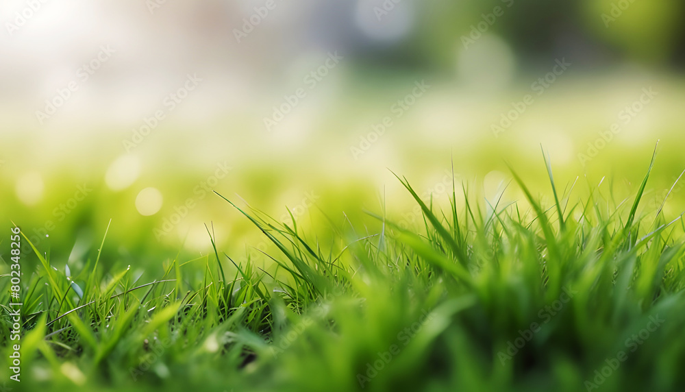 Beautiful blurred grass background. Generative AI Beautiful blurred grass background. Generative AI