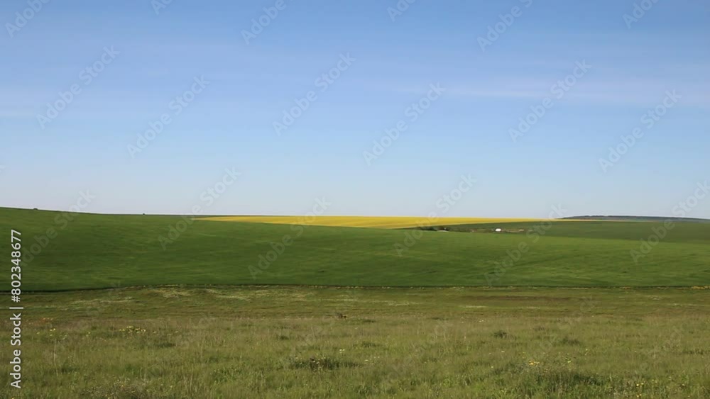 A green field with a blue sky A green field with a blue sky