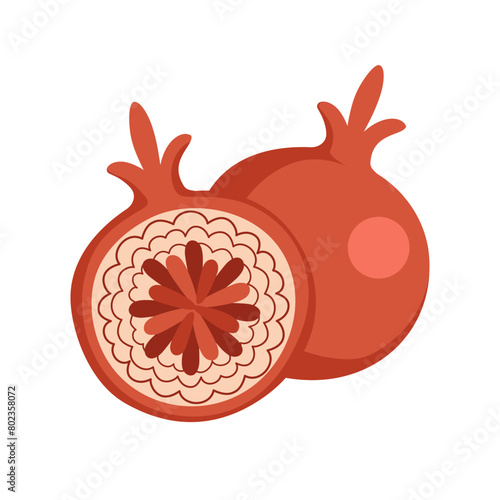 Red garnet in section. Cooking ingredient for baking or independent dishes. Fruit summer Illustration for recipe cookbook, banner, postcard, menu. Healthy product. Vector flat illustration.