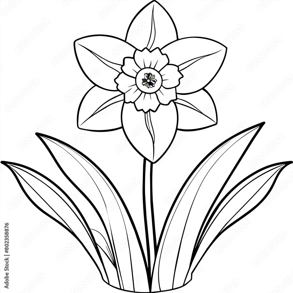 Obraz premium Daffodil flower plant outline illustration coloring book page design, Daffodil flower plant black and white line art drawing coloring book pages for children and adults