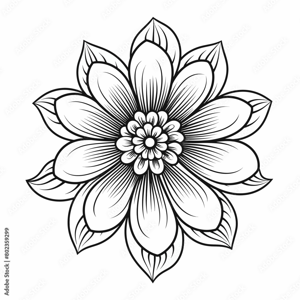 Black and white flower Black and white flower