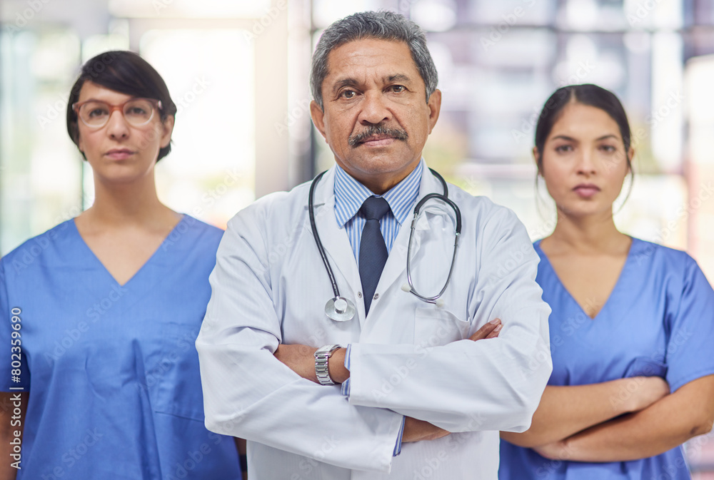 Portrait, group and medical team in hospital, doctors and leadership. Stethoscope, healthcare and lab coat for collaboration, teamwork and professional with arms crossed or nurse, clinic and people Portrait, group and medical team in hospital, doctors and leadership. Stethoscope, healthcare and lab coat for collaboration, teamwork and professional with arms crossed or nurse, clinic and people