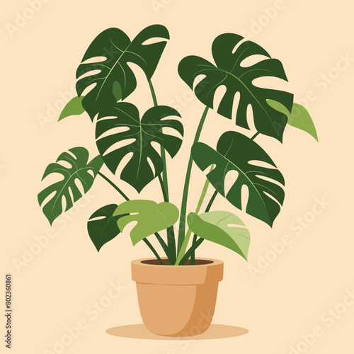 Illustration of a lush monstera plant in a terracotta pot against a beige background.