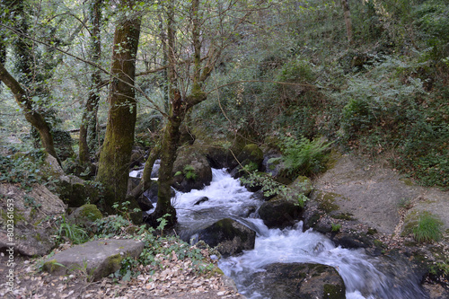 Mountain landscape with river flowing through dense vegetation, water with motion blur