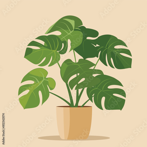 Illustration of a potted green monstera plant on a beige background.