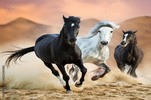 Two beautiful horse run gallop on flowers field with blue sky behind
