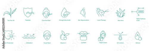 Tea Tree Oil, Peptides, Chemical Peeling, Omega Fatty Acids, Skin Rejuvenation, Laser Resurfacing, Aloe Vera, Alpha Hydroxy Acid, Sun Protection, Exfoliation, Face Mask, Vitamin C Vector Icons