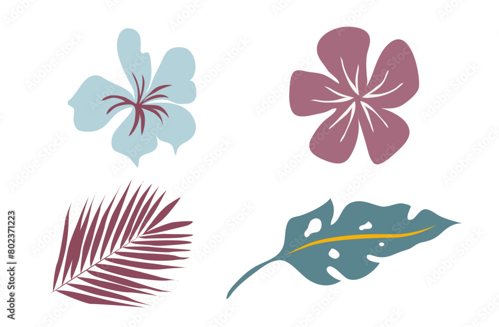 Simple tropical flowers and leaves .Vector, flat style, isolated on a white background Simple tropical flowers and leaves .Vector, flat style, isolated on a white background