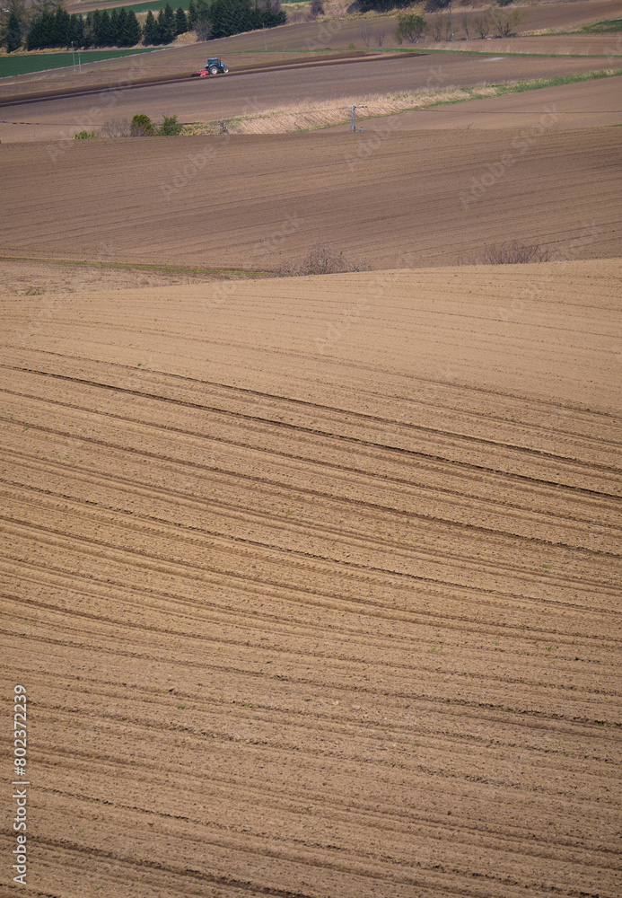 Naklejka premium 北海道千歳市の丘陵農業地帯 / Hilly agricultural area in Chitose City, Hokkaido