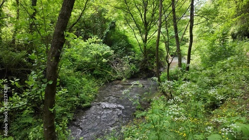 Scenic sight in the natural monument 