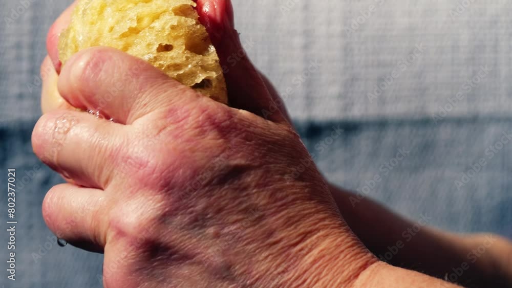 Hand squeezing water from natural sponge Hand squeezing water from natural sponge