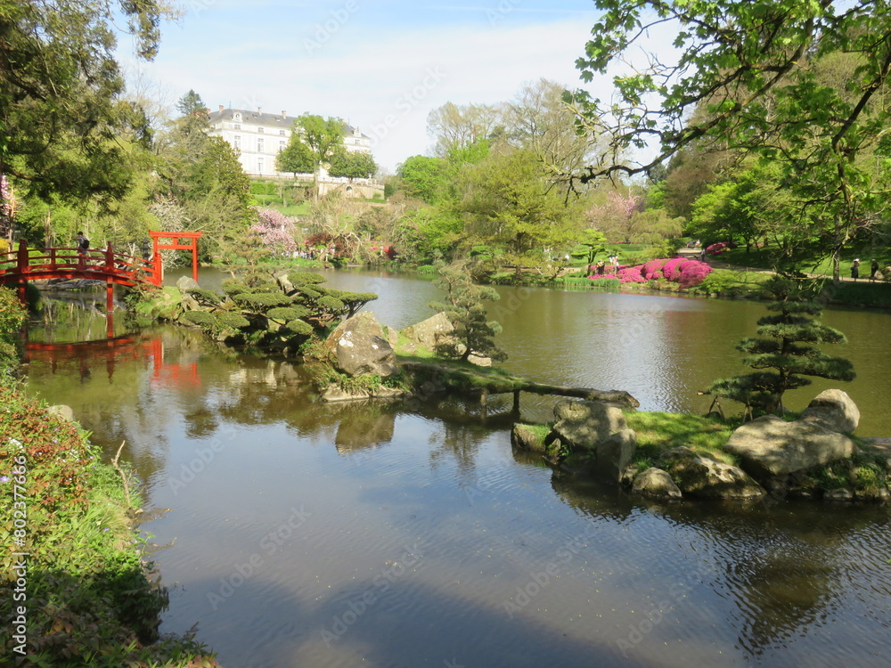 Fototapeta premium Parc Oriental de Maulévrier, Maine et Loire, Pays de la Loire, France, Japon, japonais,