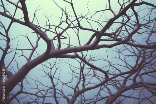 Dead tree branch with blue sky background  Vintage style toned picture