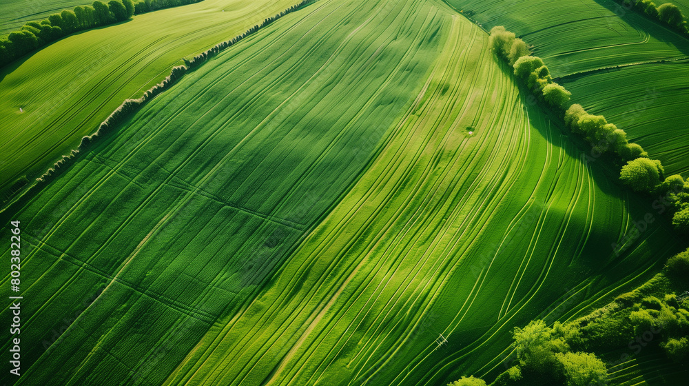 Сalming bird's eye view of pattern on green fields Сalming bird's eye view of pattern on green fields