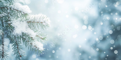 Frosty Pine Branches, Winter Wonderland with Sparkling Bokeh, Festive Winter Scene with Copy Space