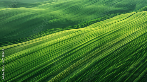 Сalming bird's eye view of pattern on green fields