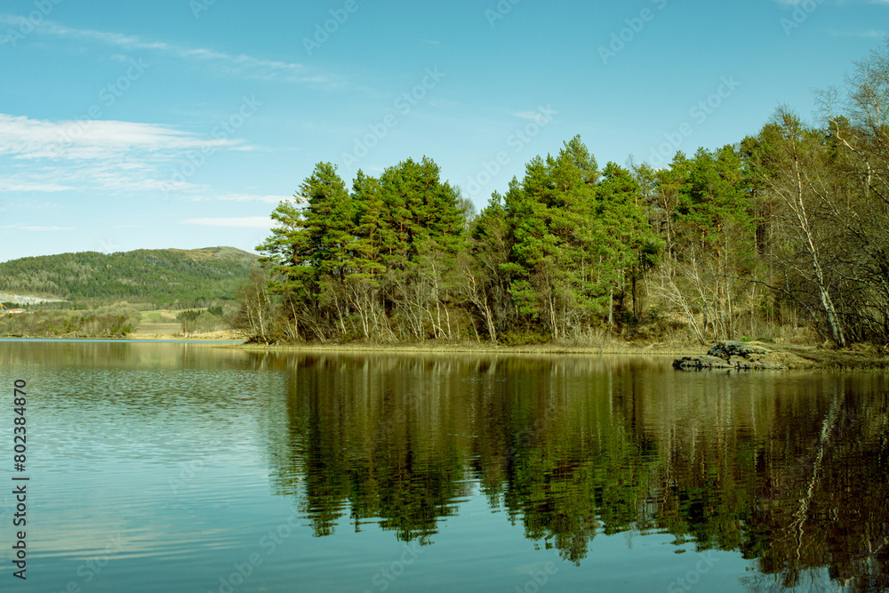 lake in the forest