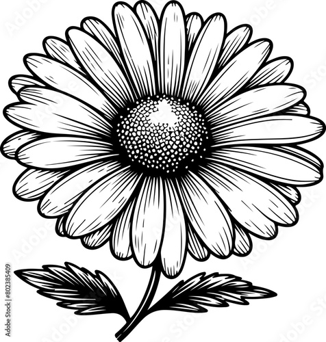 Flower black outline vector illustration. Coloring book page.