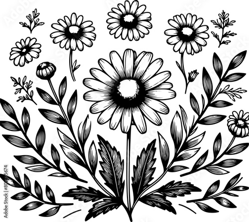 Flower black outline vector illustration. Coloring book page.